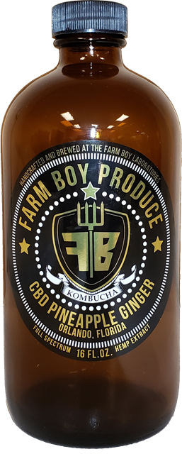 Farm Boy Produce CBD Pineapple Ginger kombucha bottle