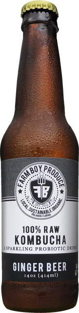 Farm Boy Produce Ginger Beer kombucha bottle